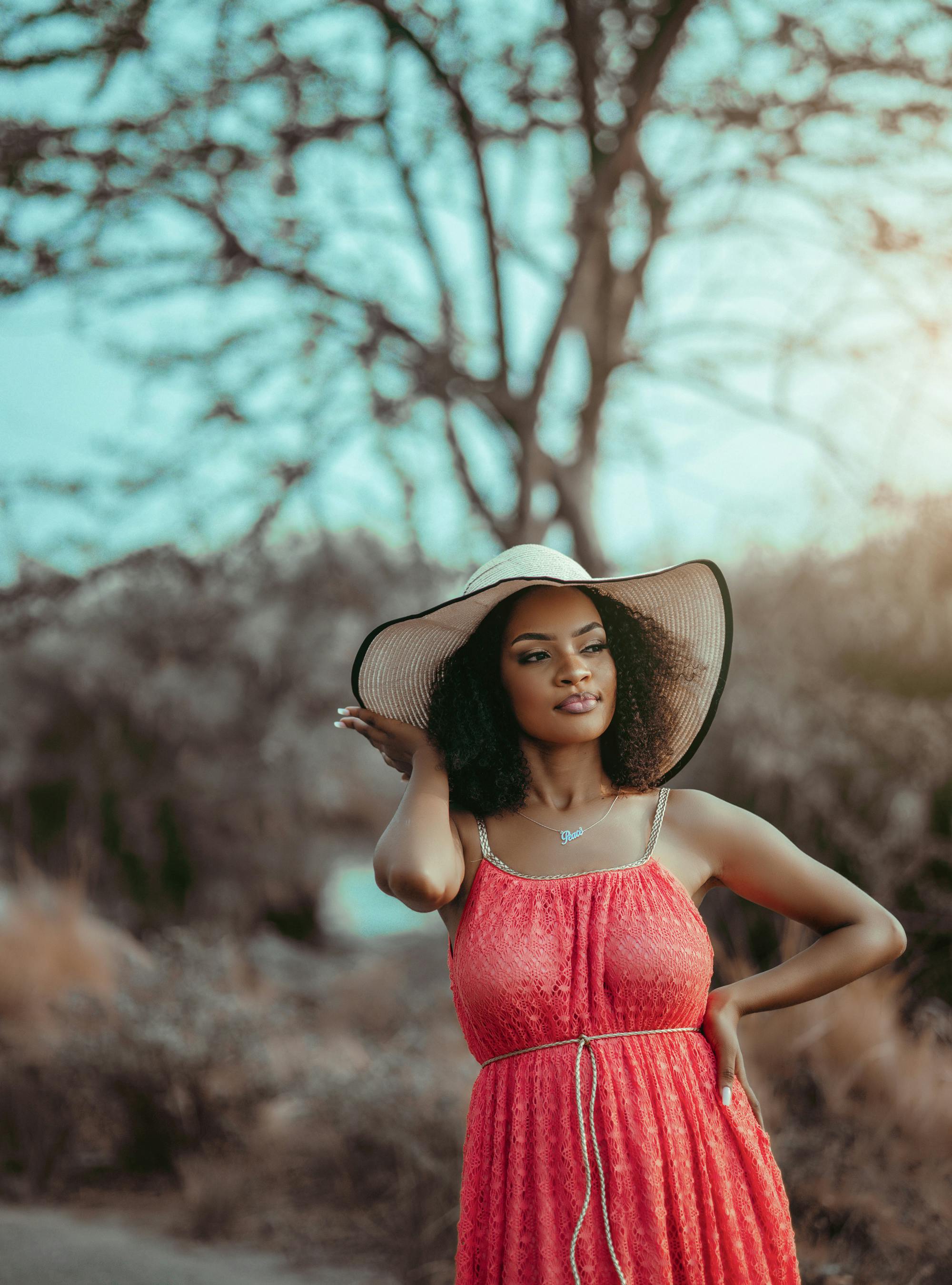 蜜桔传媒招商活动传播回顾画面